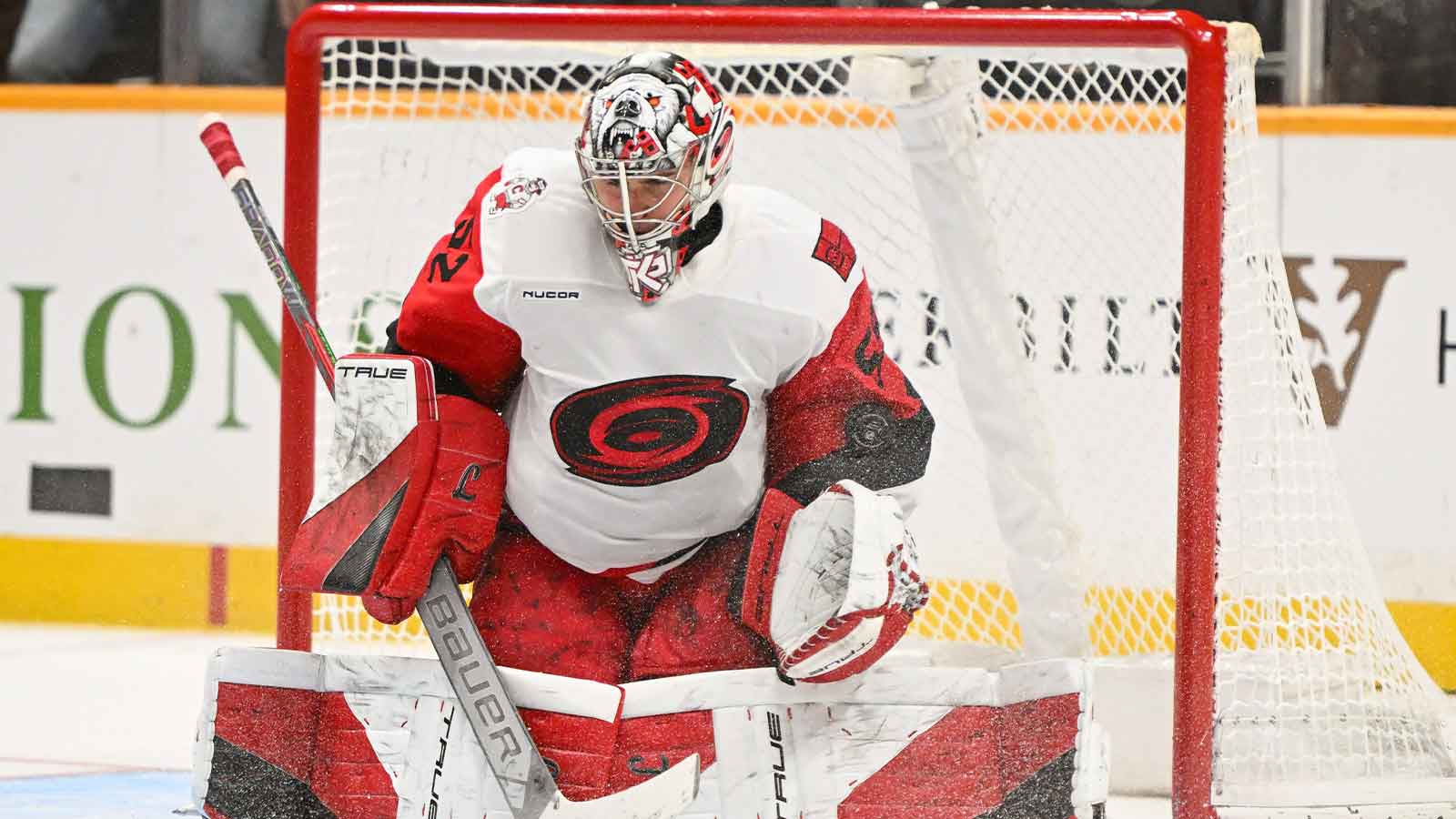Hurricanes get big Pyotr Kochetkov injury update ahead of Round 1 vs. Senators