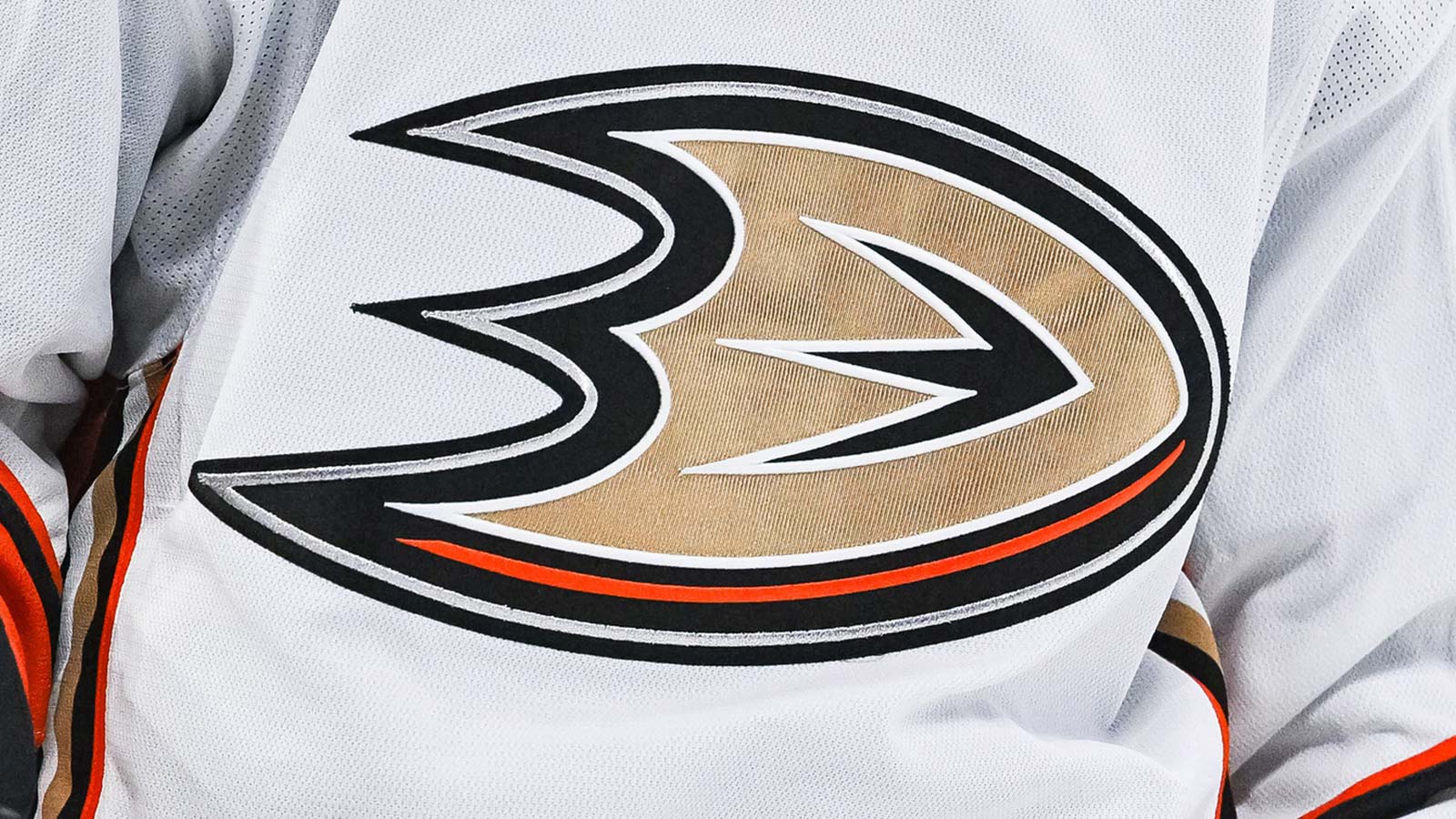 Ducks clinch playoff berth for 1st time since 2018