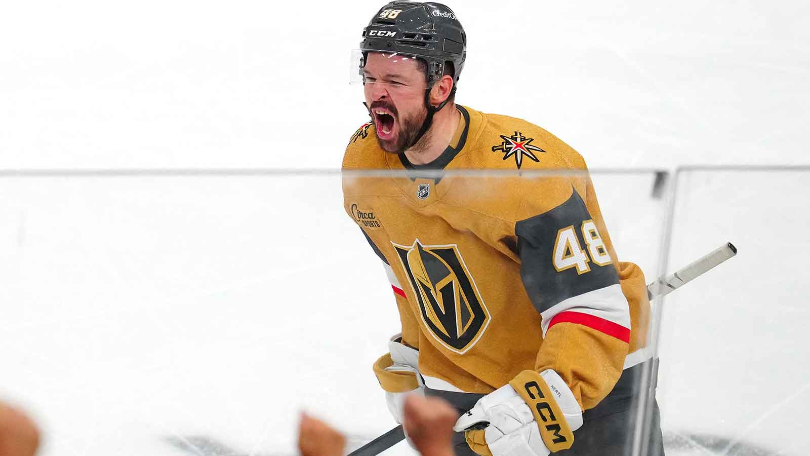 Tomas Hertl's late goal lifts Golden Knights to Stanley Cup Final Game 1 win