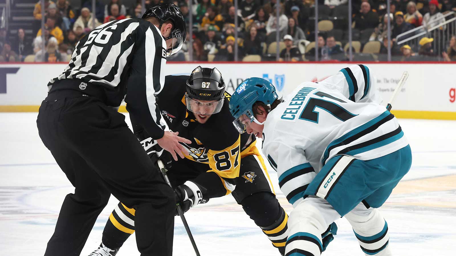 Sharks’ Macklin Celebrini gets strong Sidney Crosby comparison from shared agent