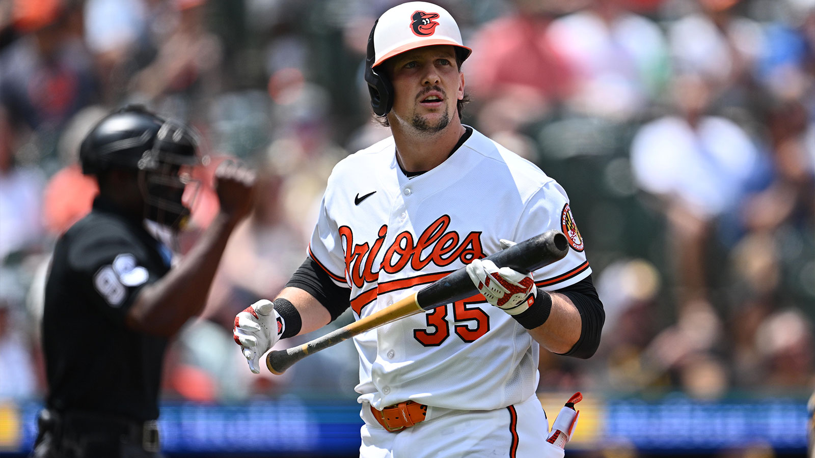 Adley Rutschman News, Rumors, Stats, Highlights and More 