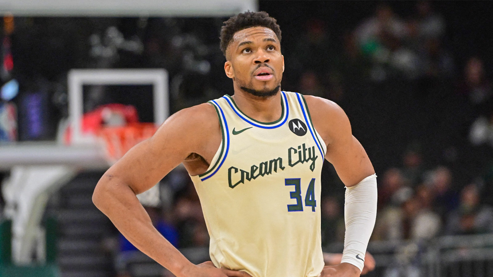Milwaukee Bucks forward Giannis Antetokounmpo (34) looks on in the fourth quarter against the Atlanta Hawks at Fiserv Forum