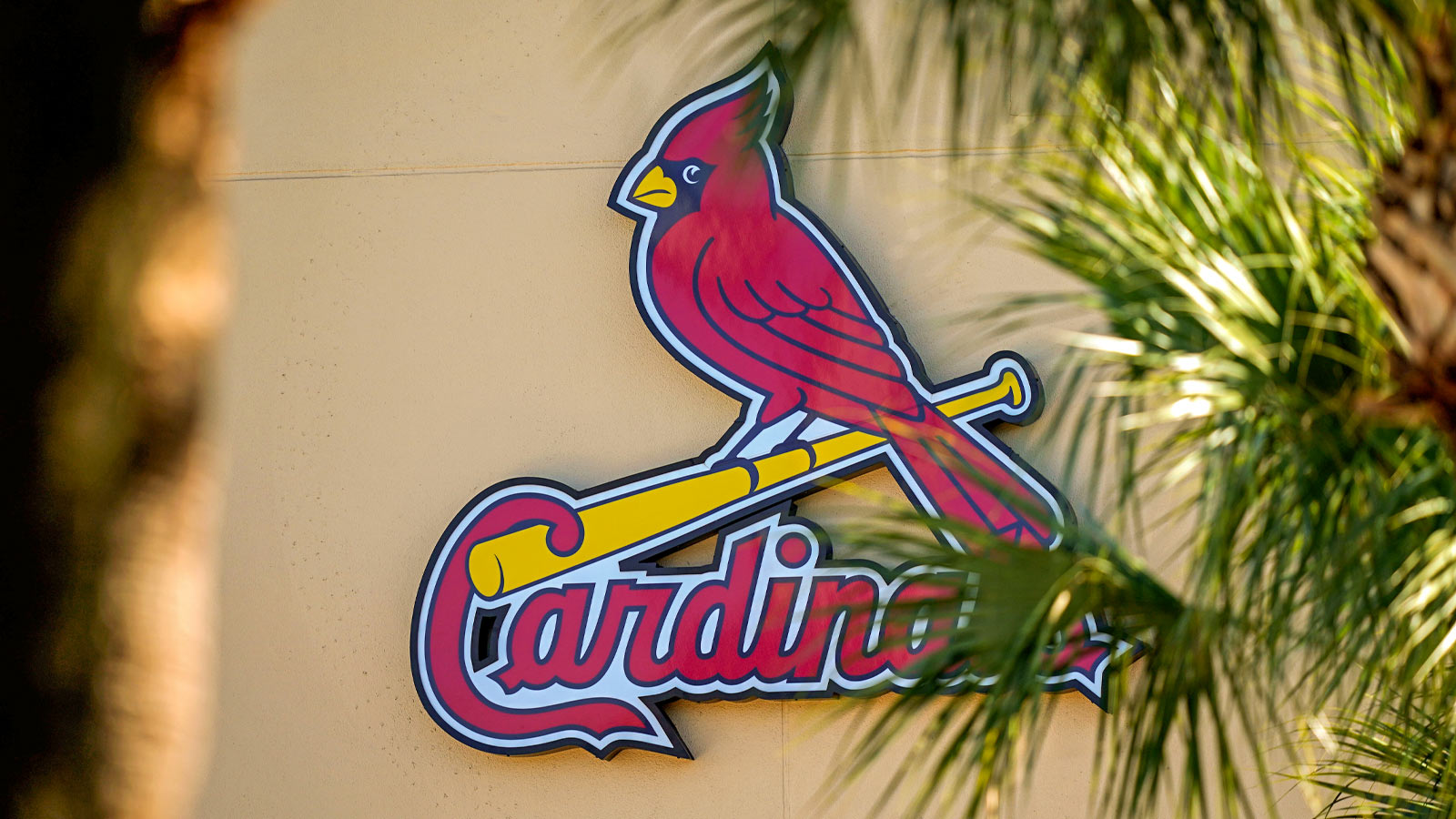 Cardinals DFA veteran reliever with latest roster move