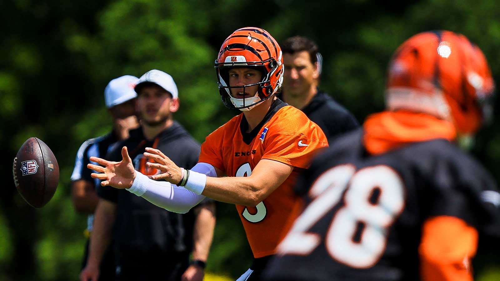 Tim Hasselbeck’s issue with Joe Burrow’s place on ESPN’s QB executive survey