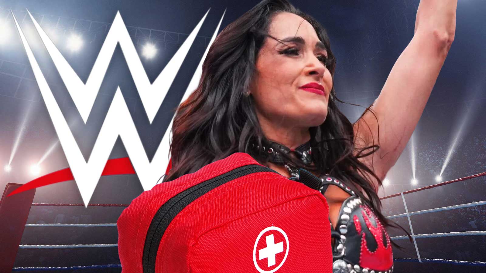 New update on Brie Bella’s WWE SummerSlam shoulder injury: ‘She is in a lot of pain’