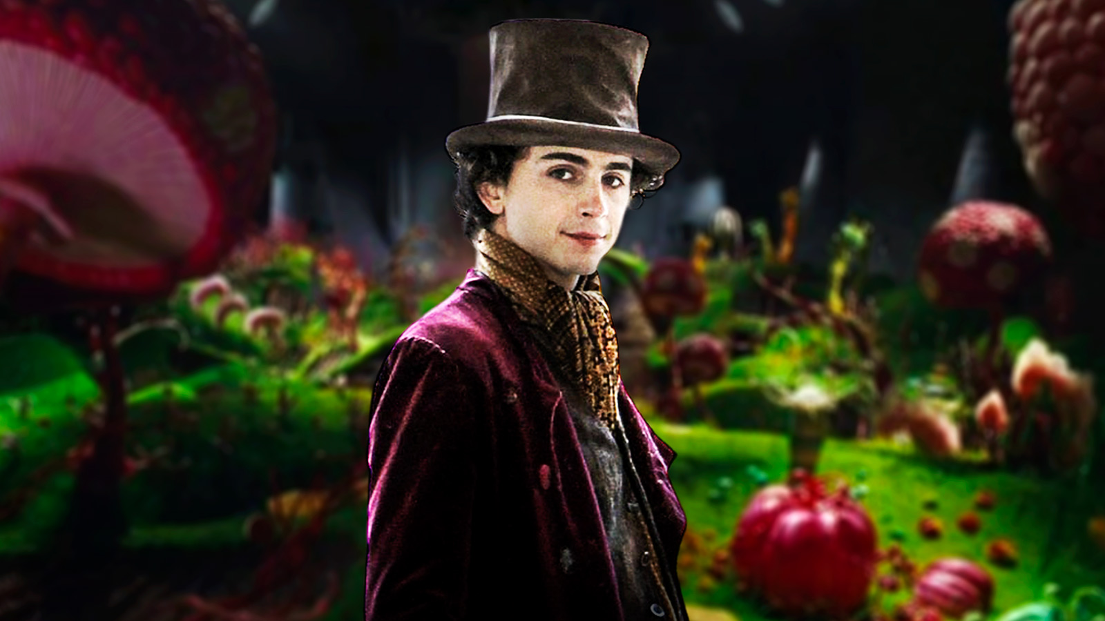 https://wp.clutchpoints.com/wp-content/uploads/2026/08/Wonka-2-gets-indefinite-pause-update-after-1st-Timothee-Chalamet-movies-634-million-haul.jpg