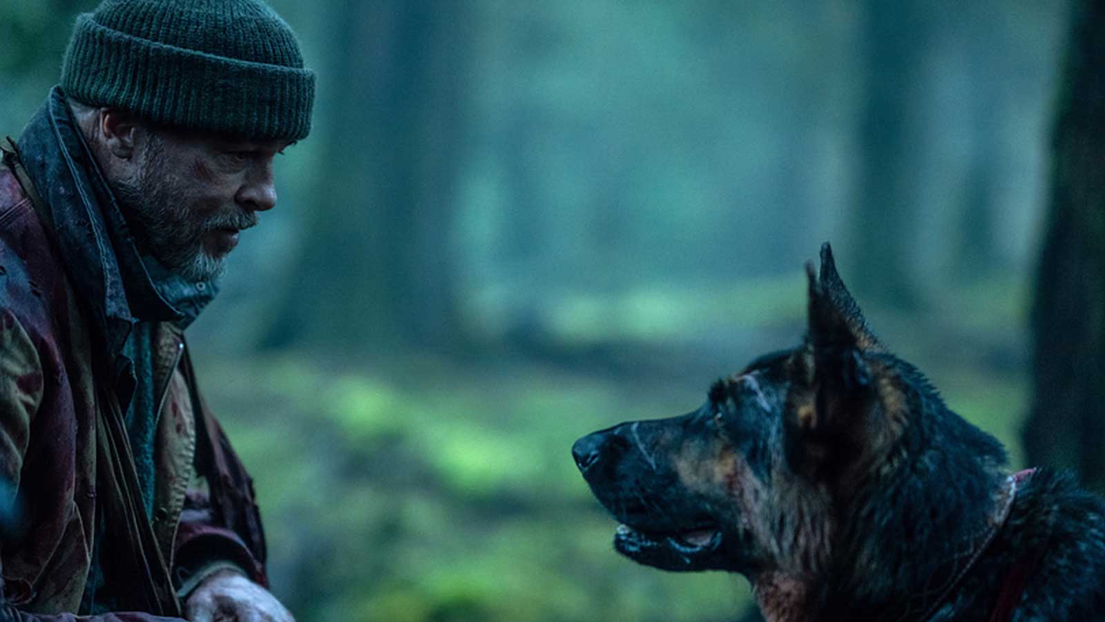 Brad Pitt and the dog Odin in the new movie Heart of the Beast.