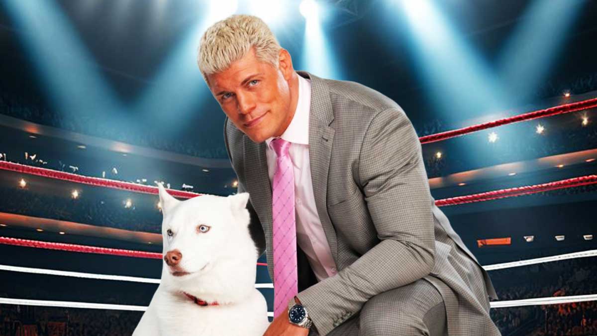 WWE stars rally around Cody Rhodes after tragic death of dog Pharaoh